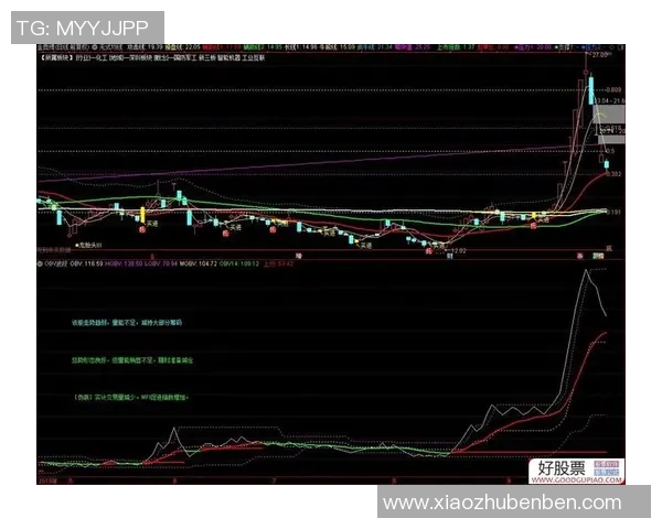 CFO与FNC在企业管理中的角色对比与协同效应分析