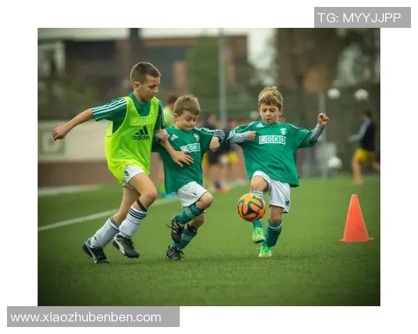 探索现代足球战术演变及其对全球联赛竞争格局的深远影响趋势探讨