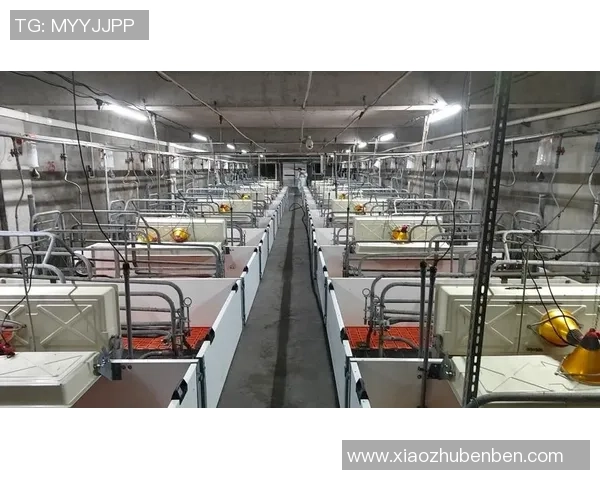 浙江稠州金租推动金融科技创新 助力地方经济发展与产业升级 浙江稠州金租推动金融科技创新 助力地方经济发展与产业升级